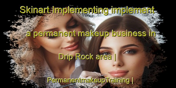Skinart Implementing implement a permanent makeup business in Drip Rock area | PermanentmakeupTraining | PermanentmakeupClasses | SkinartTraining-United States